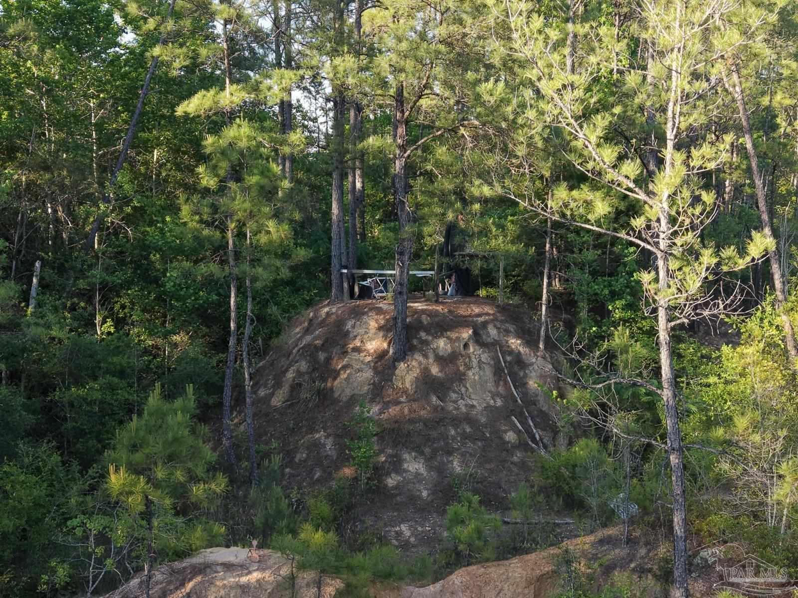 2200 Fannie Road Century, FL 32535 - Photo 14 of 22