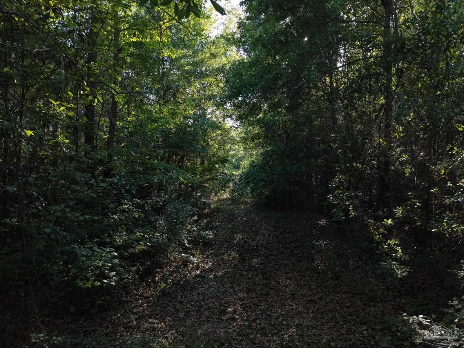 2200 Fannie Road Century, FL 32535 - Photo 17 of 22