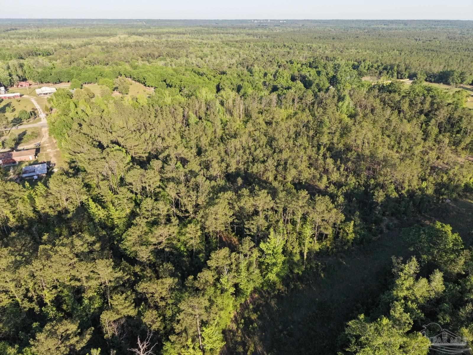 2200 Fannie Road Century, FL 32535 - Photo 21 of 22