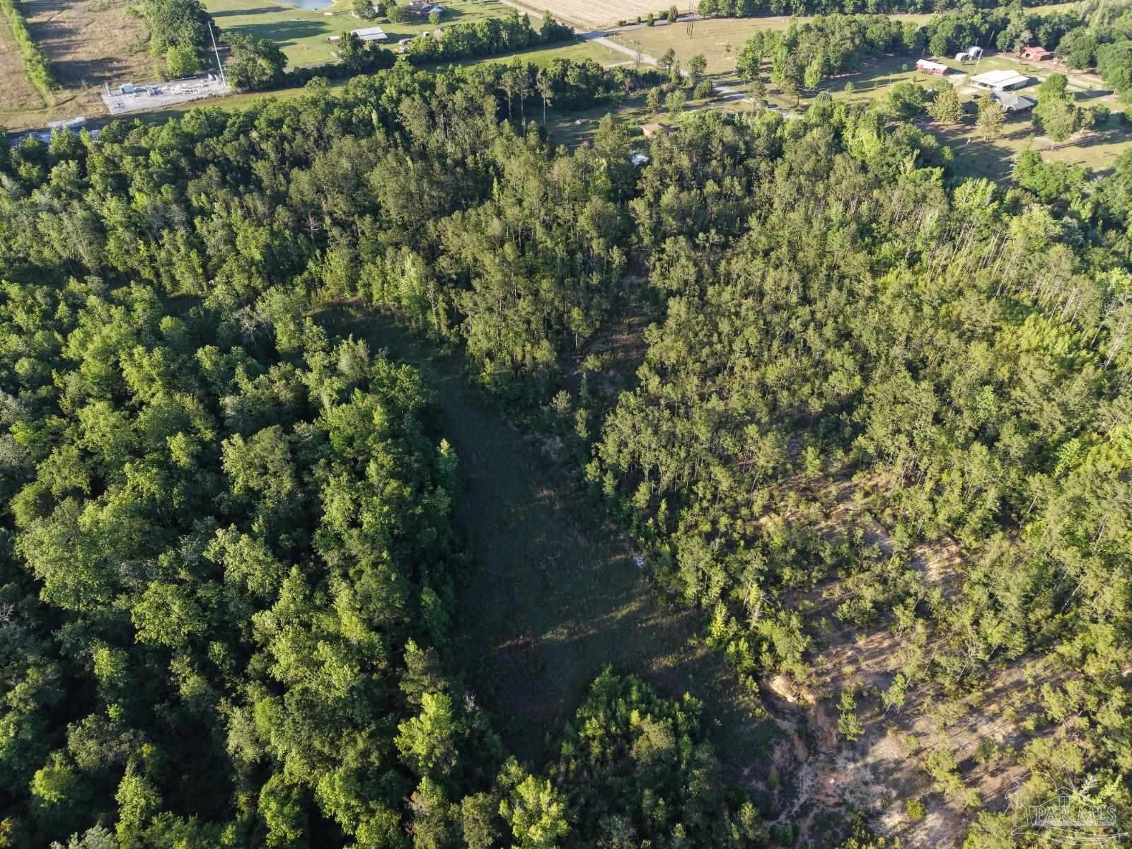 2200 Fannie Road Century, FL 32535 - Photo 22 of 22