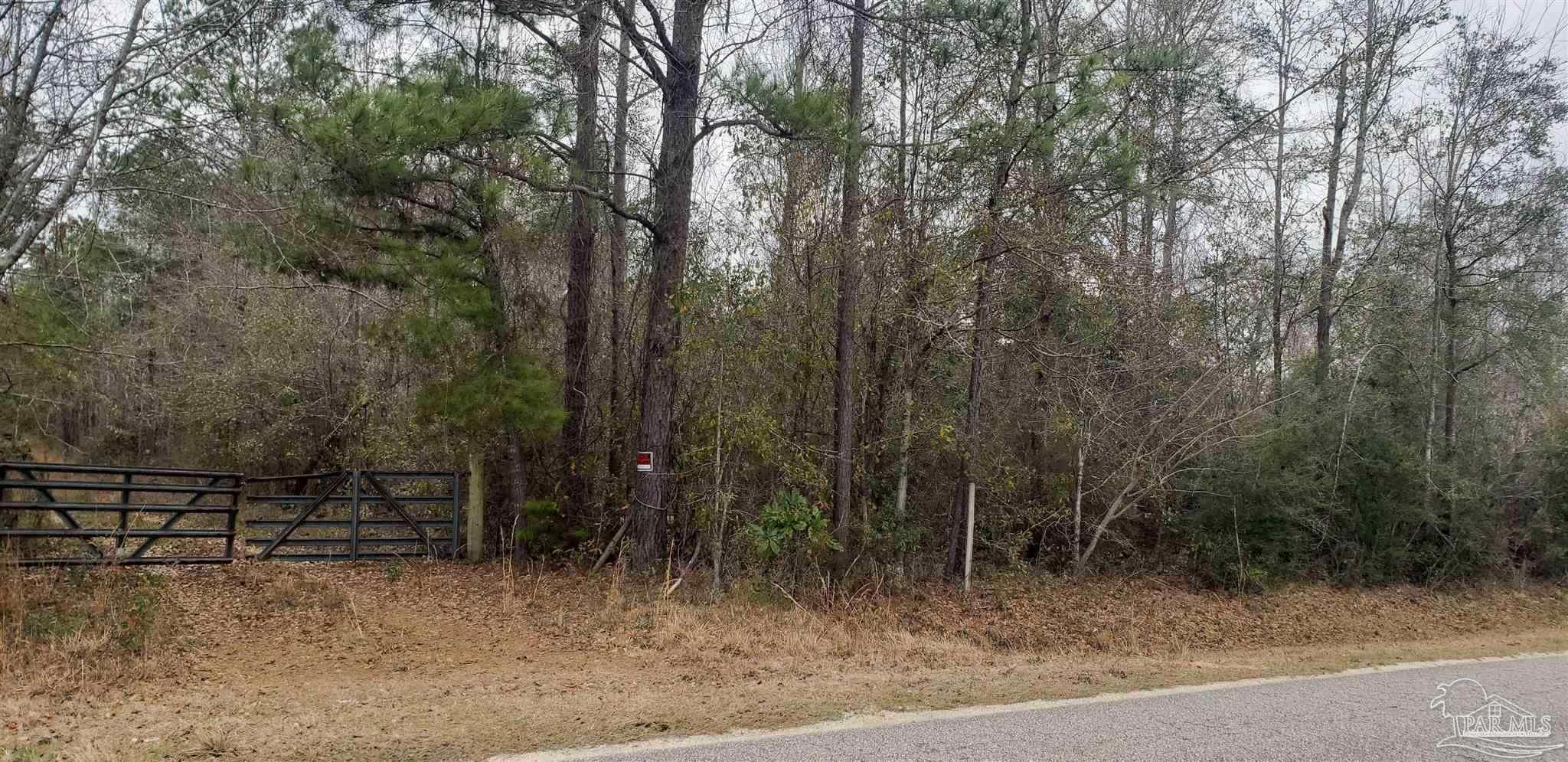 2200 Fannie Road Century, FL 32535 - Photo 4 of 22