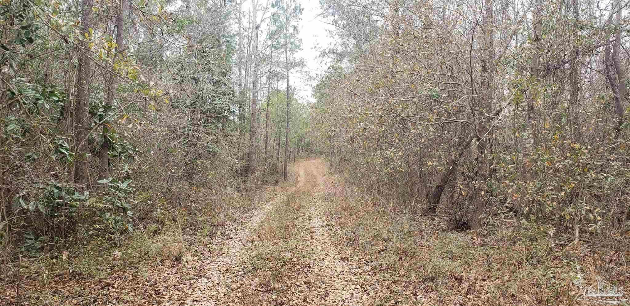 2200 Fannie Road Century, FL 32535 - Photo 5 of 22