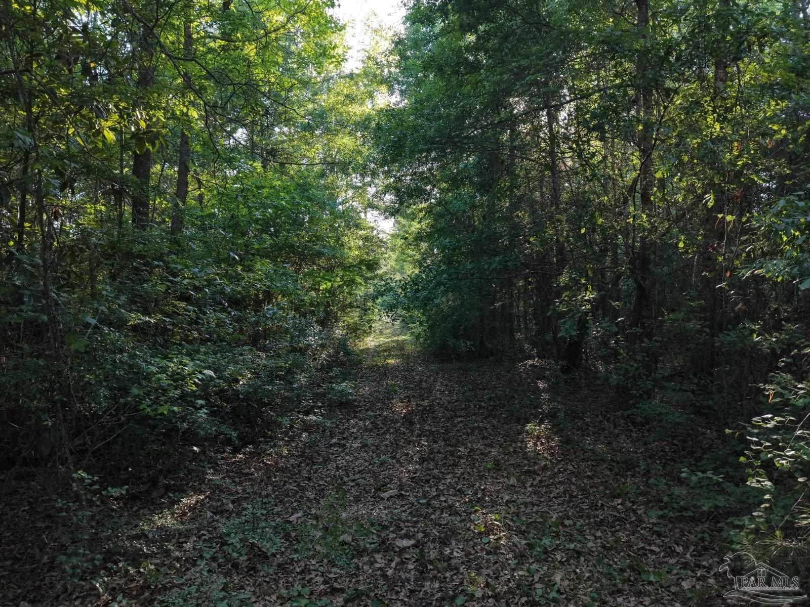 2200 Fannie Road Century, FL 32535 - Photo 6 of 22