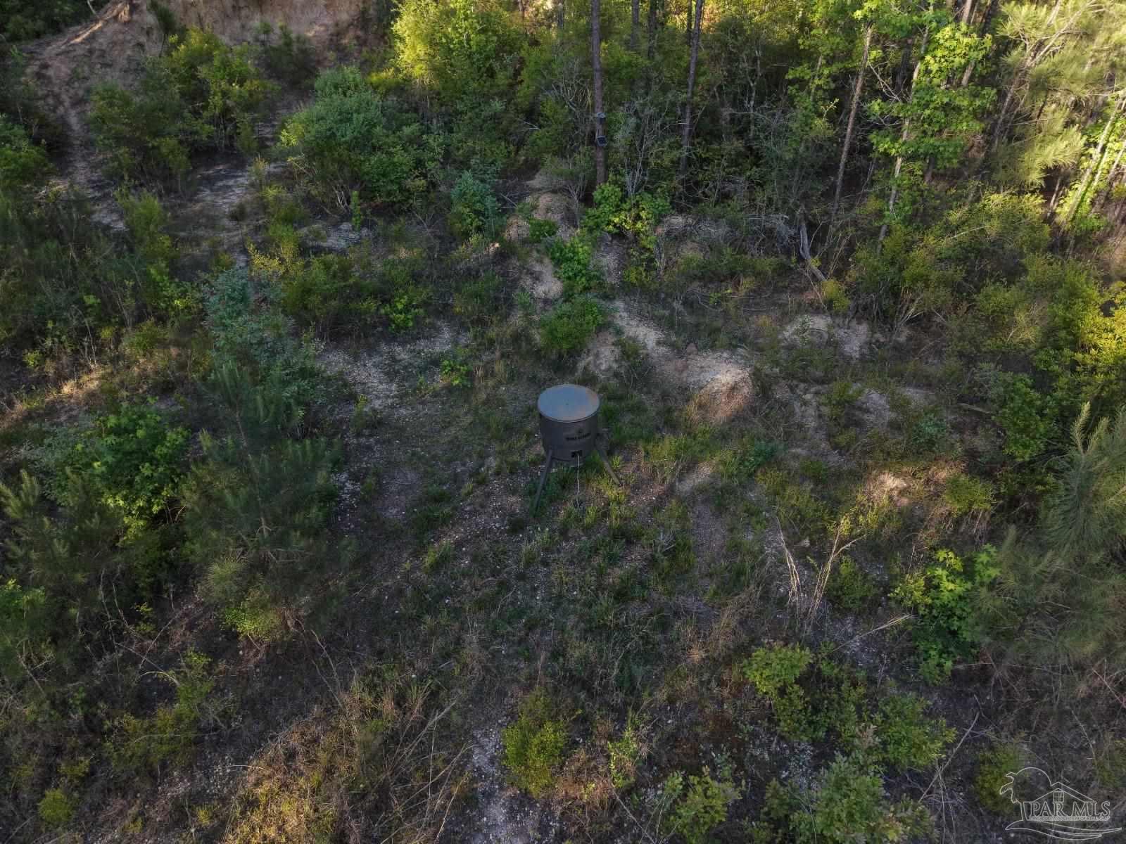 2200 Fannie Road Century, FL 32535 - Photo 7 of 22
