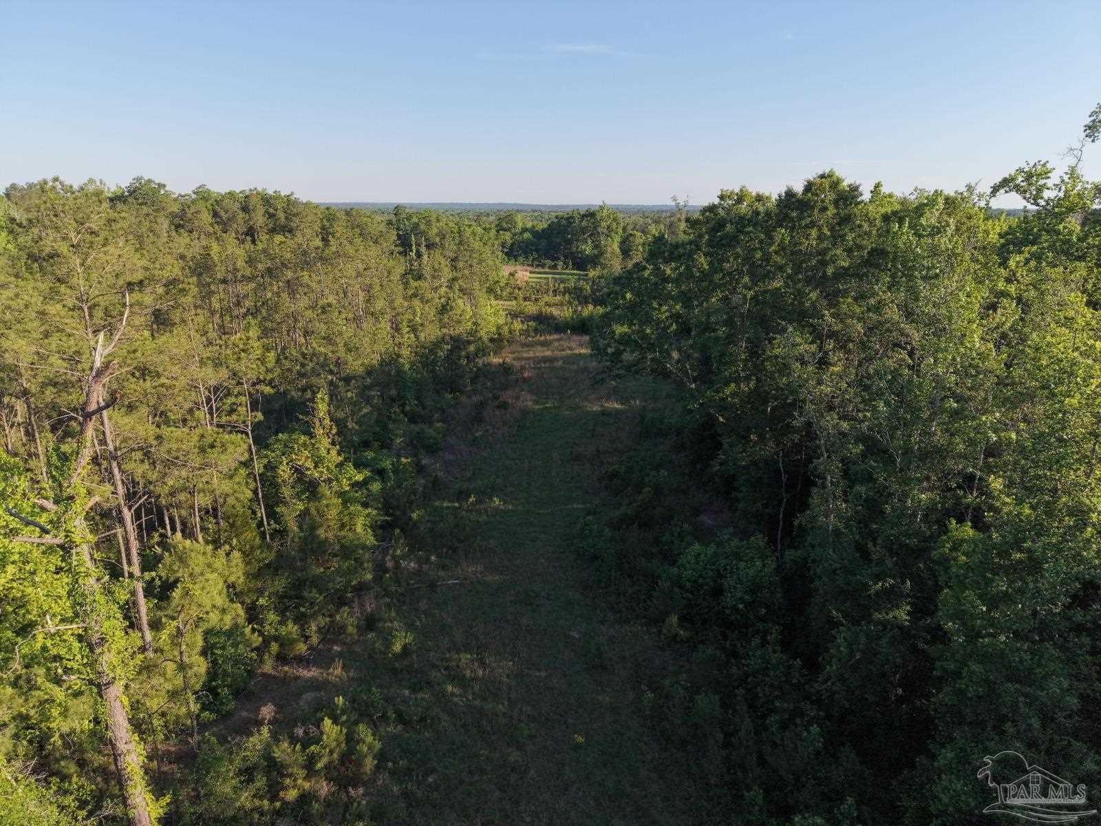 2200 Fannie Road Century, FL 32535 - Photo 8 of 22