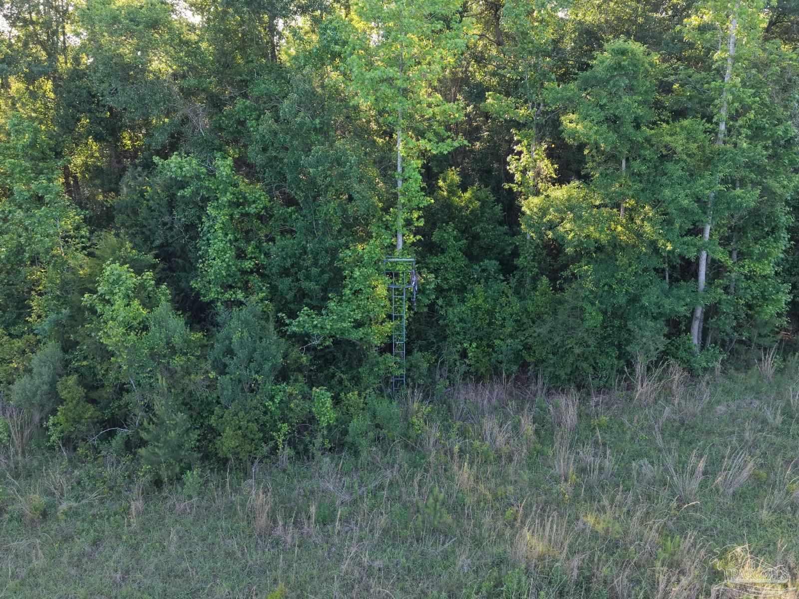 2200 Fannie Road Century, FL 32535 - Photo 10 of 22