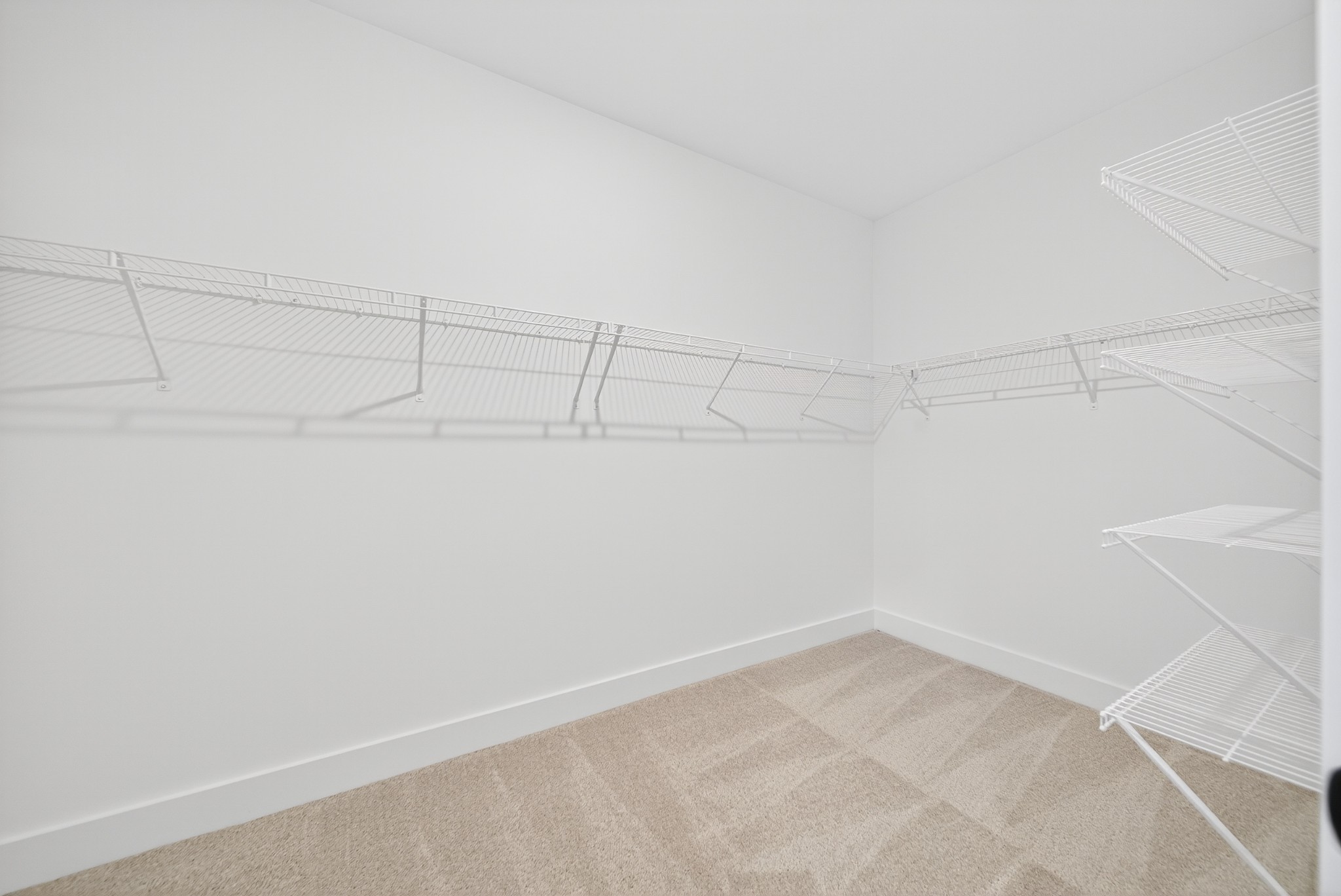 3911 Trinity Woods Road Columbia, TN 38401 - Photo 43 of 63