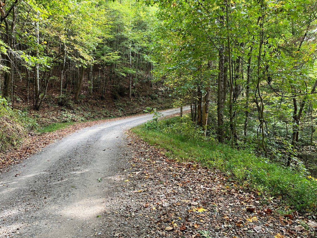 Tbd Burrell Mountain Road Murphy, NC 28906 - Photo 18 of 28