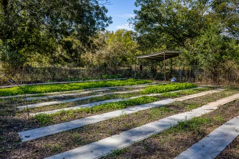 $1,500,000 | 144 Century Lane, Bellville, TX 77418