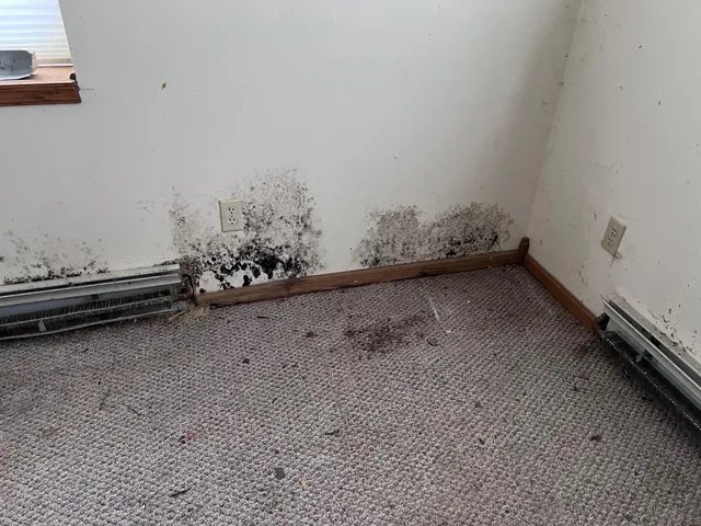 $240,000 | 2513 19th Street North, St. Cloud, MN 56303