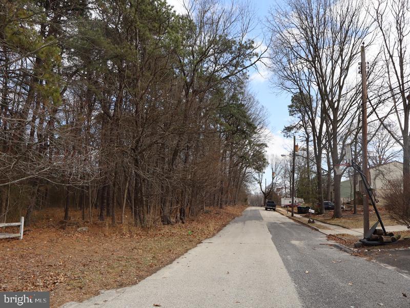 352 Roosevelt Avenue Lindenwold, NJ 08021 - Photo 10 of 21 a view of a park with a tree