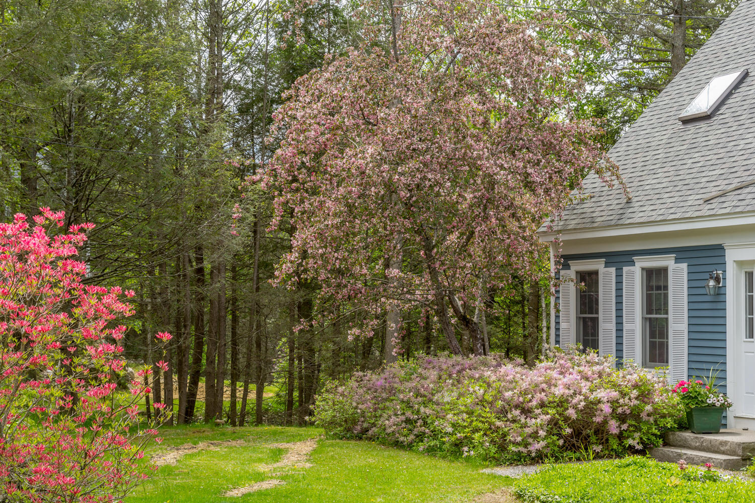 66 Cushman Point Road Wiscasset, ME 04578 - Photo 35 of 35 20190604PC-51096