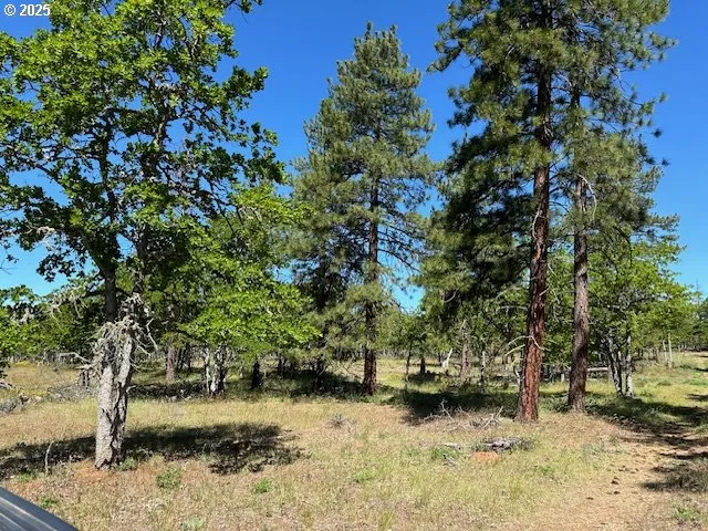 $124,900 | D Pine Road, Unit 2, Goldendale, WA 98620