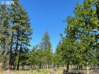 a backyard of a house with lots of trees