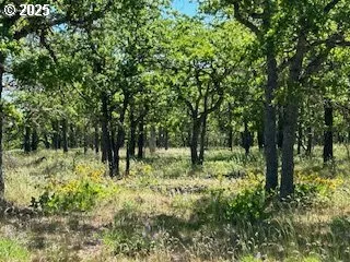 a view of outdoor space with lots of trees