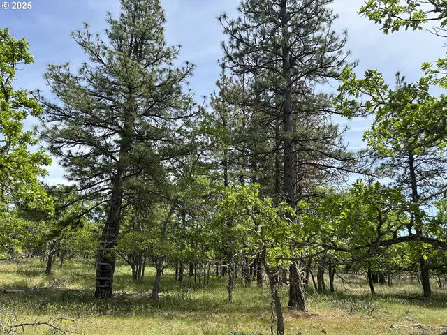 a view of a lake view