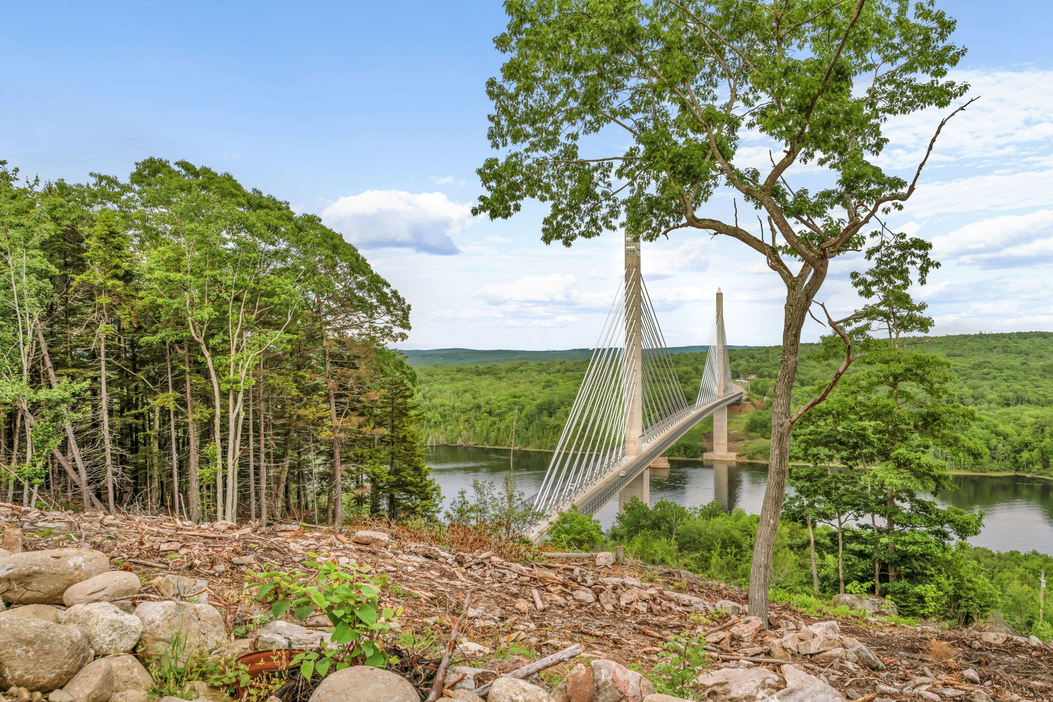 0 Switzer Spring Road Prospect, ME 04981 - Photo 6 of 22 6-web-or-mls-00-switzer-springs-rd