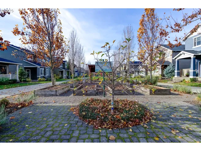 a view of yard with tree in it