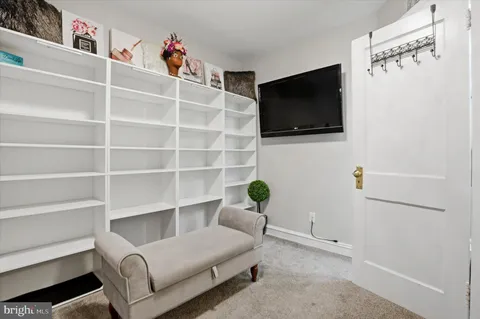 a living room with a flat screen tv a rug and a potted plant
