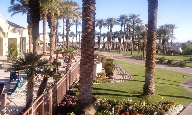 a view of a park with large trees