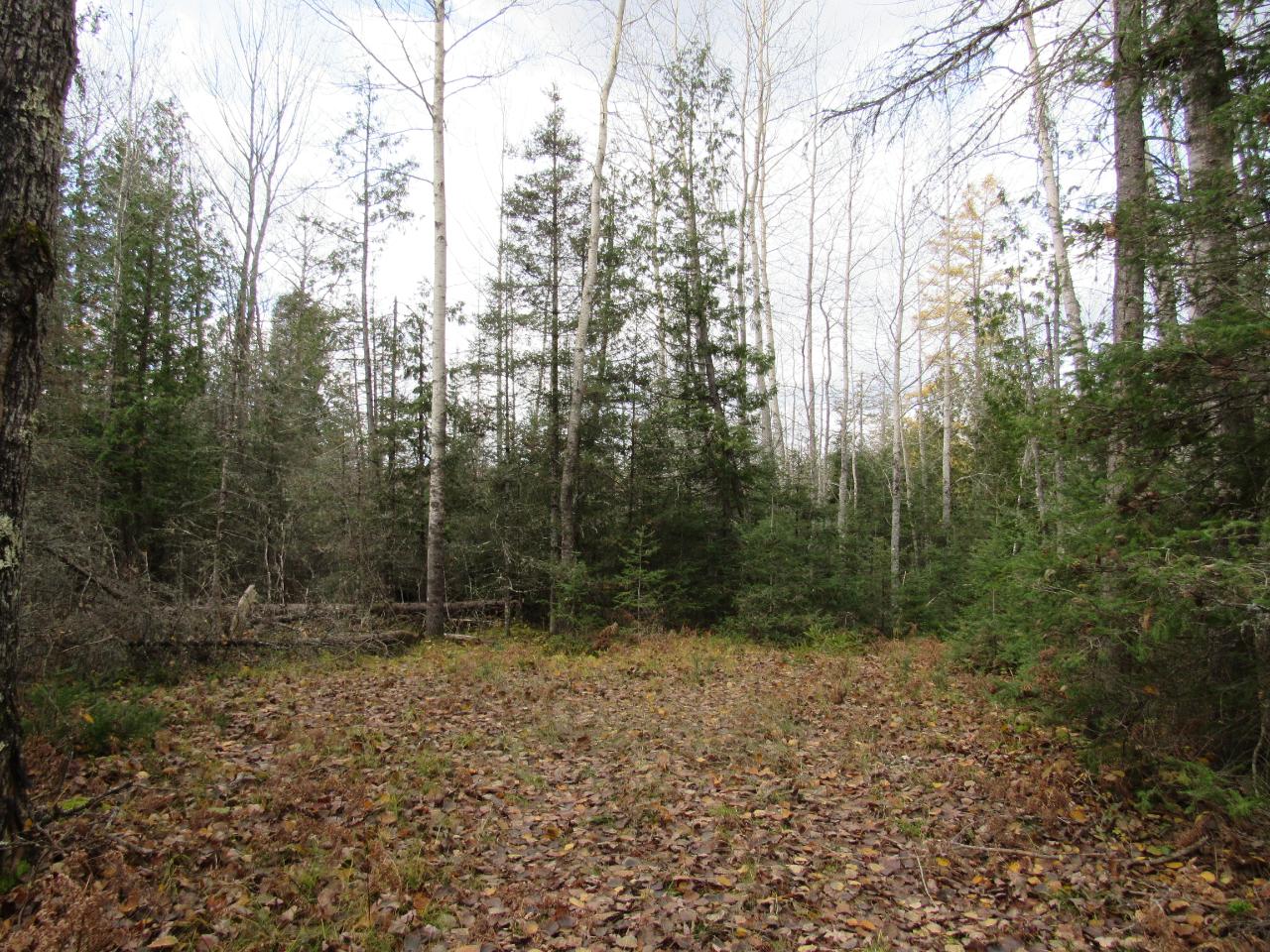 On Sheltrow Road, Unit LOT 10 Crystal Falls, MI 49920 - Photo 13 of 14 Gallery Image 13
