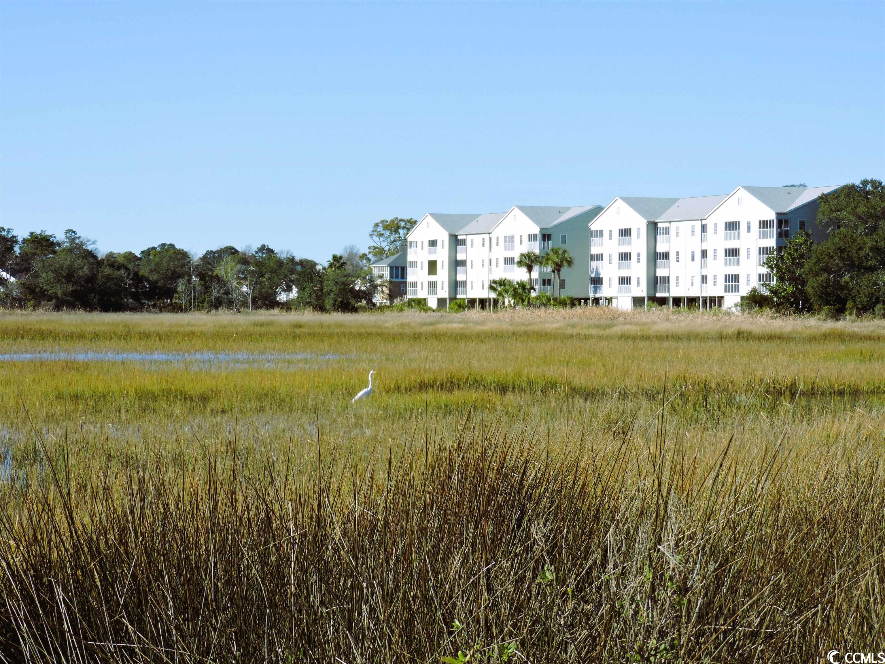 140 Sunset Drive Murrells Inlet, SC 29576 - Photo 4 of 40