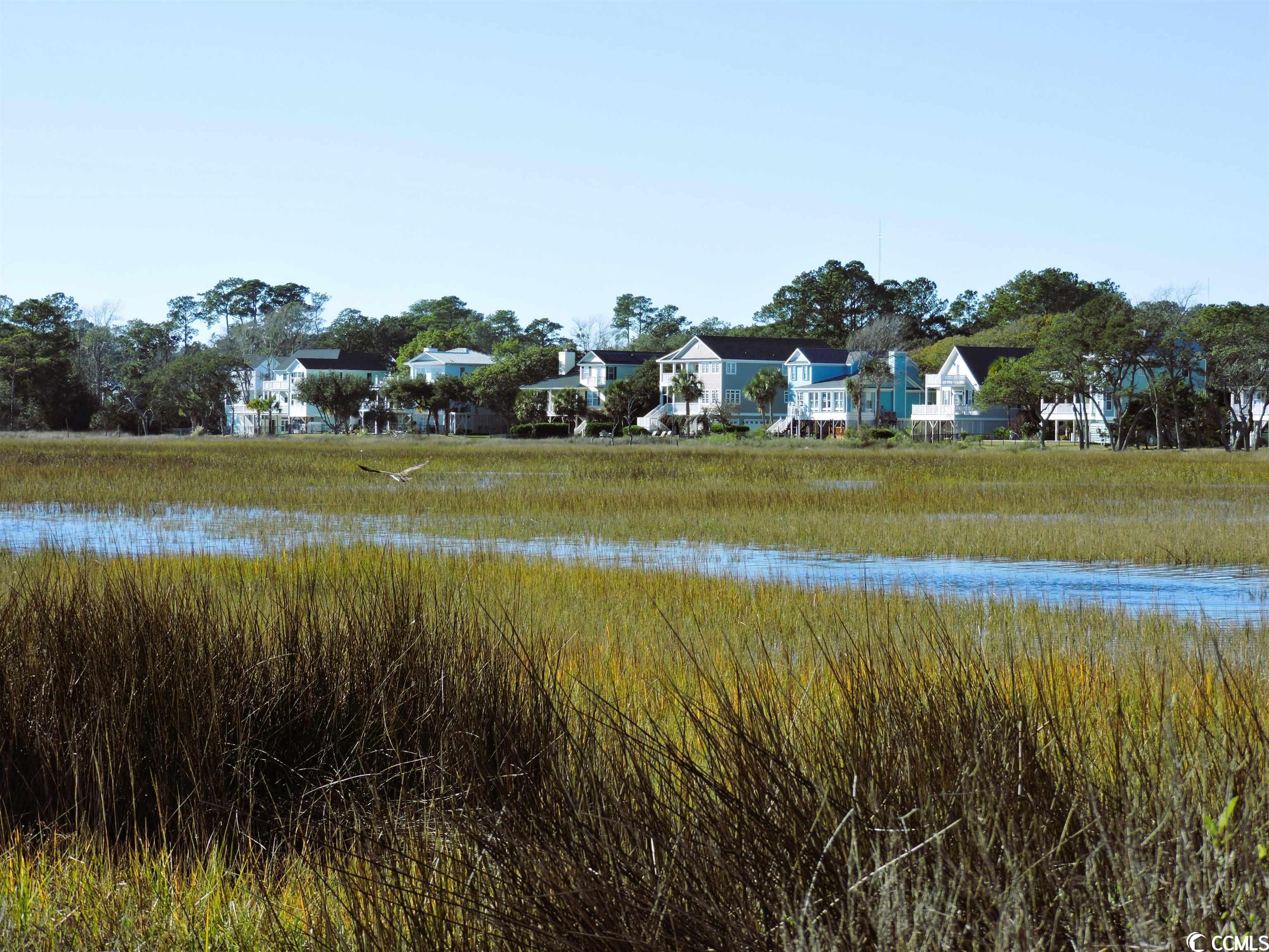 140 Sunset Drive Murrells Inlet, SC 29576 - Photo 5 of 40