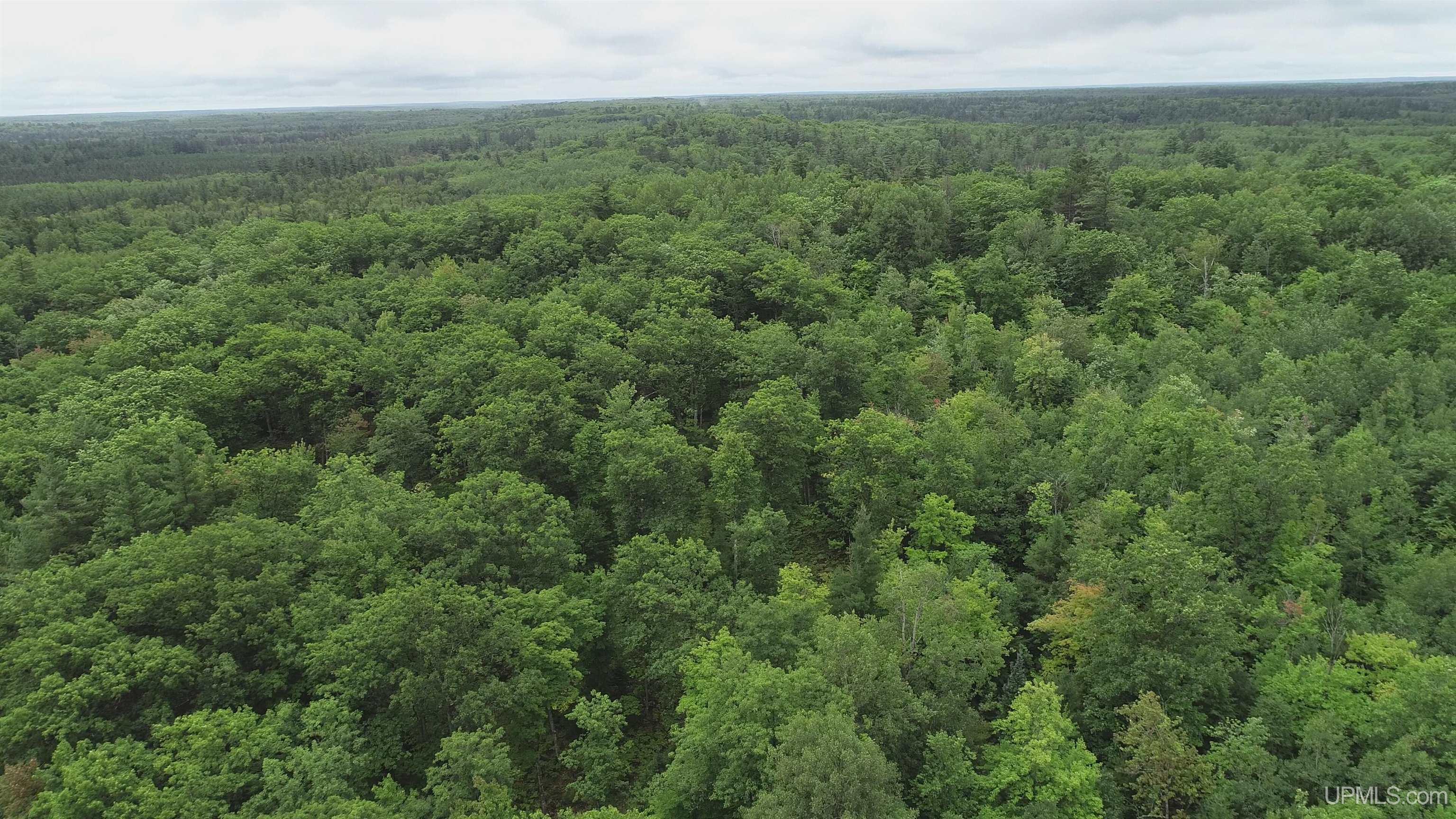 565 County Road 565 Road Gwinn, MI 49841 - Photo 30 of 35