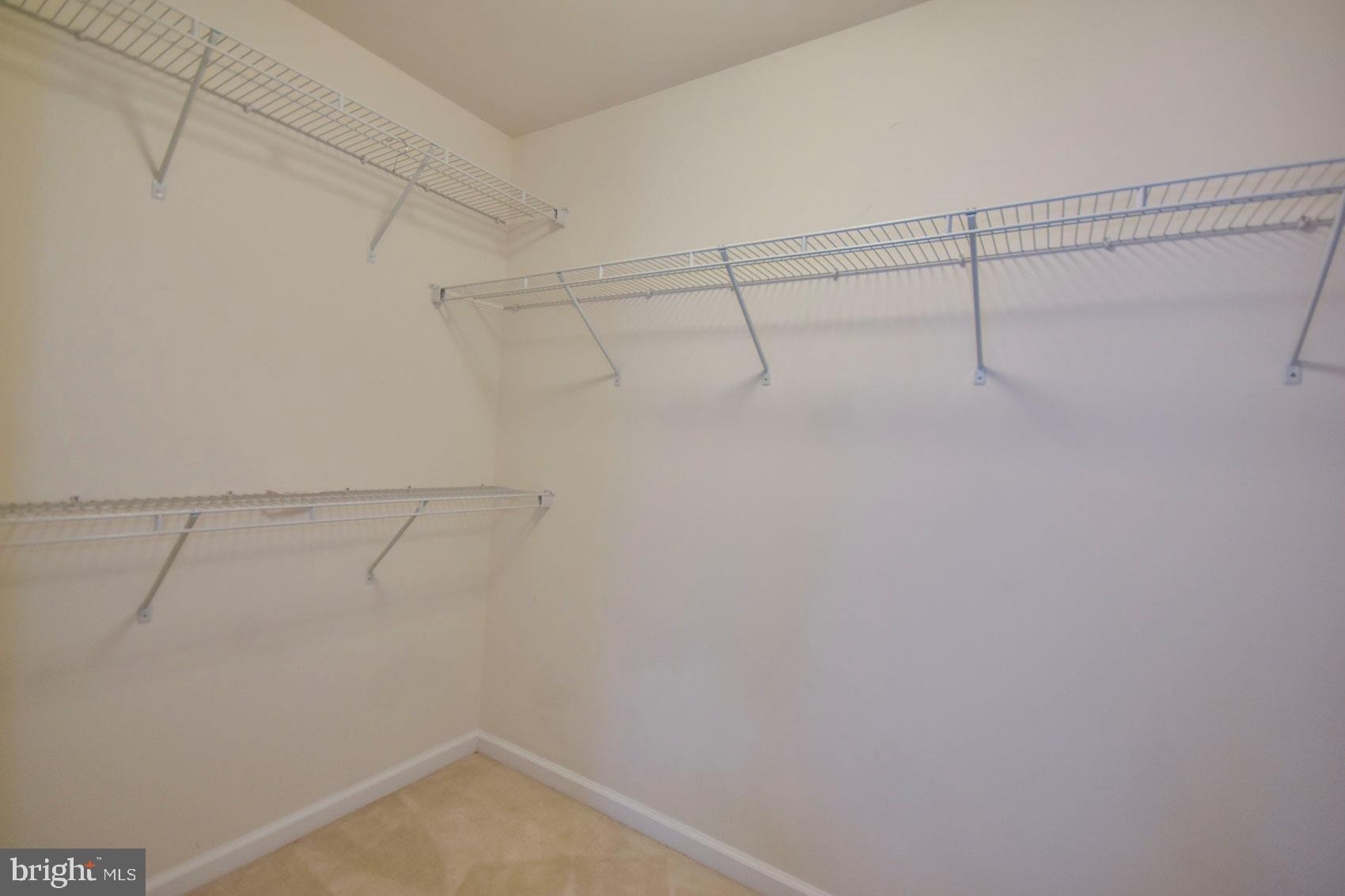 278 Mountain Laurel Boulevard Ranson, WV 25438 - Photo 32 of 65 Master Walk-in Closet