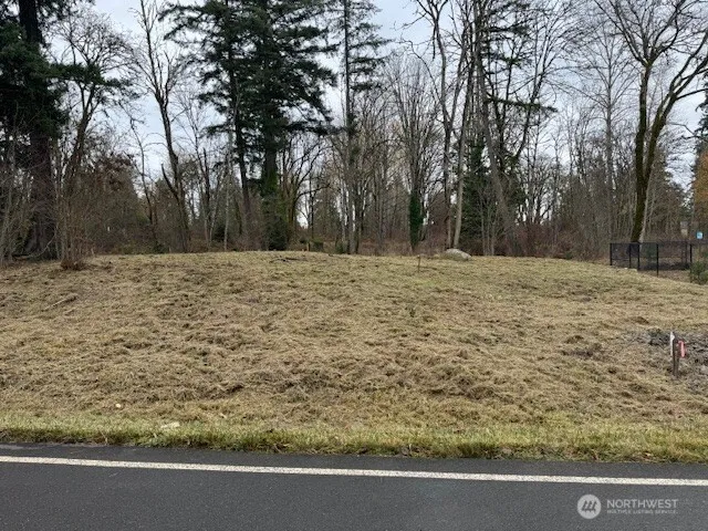 a view of a yard with large trees
