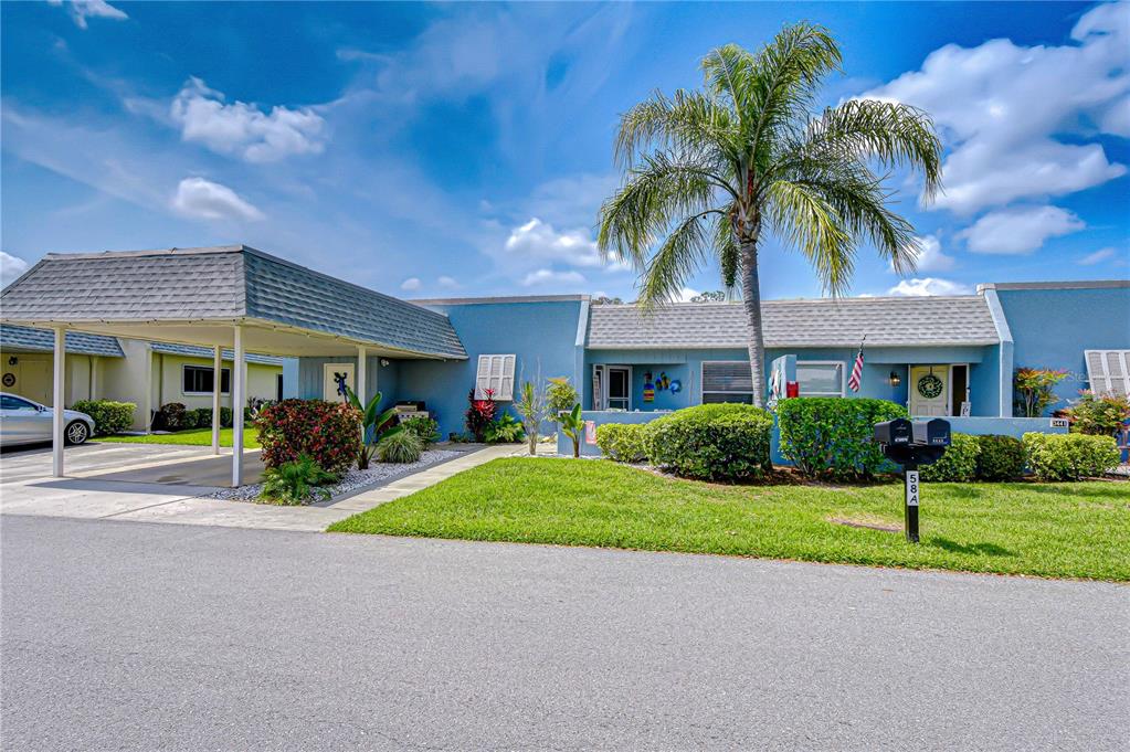 a front view of a house with a garden and palm tree