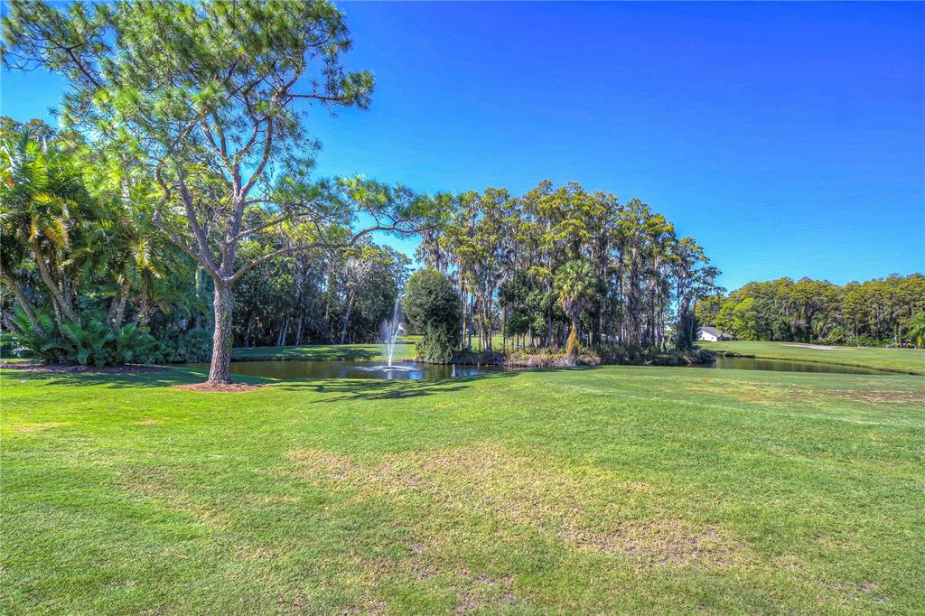 3439 Teeside Drive New Port Richey, FL 34655 - Photo 71 of 85 a view of a park with large trees