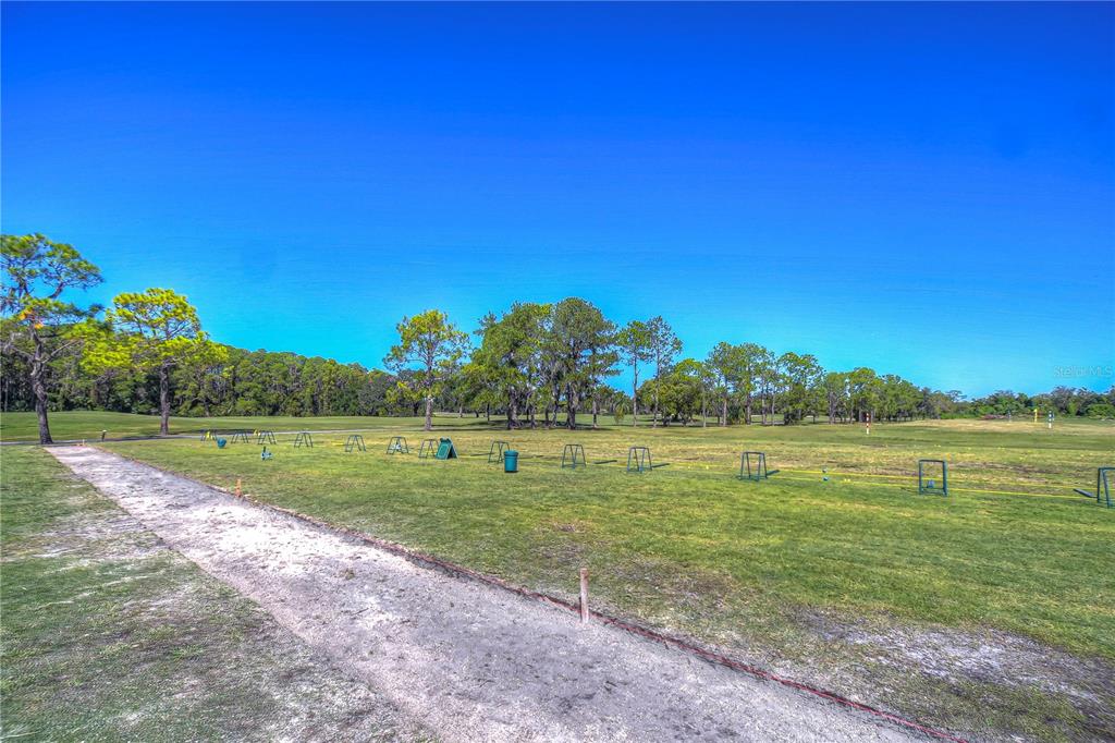 3439 Teeside Drive New Port Richey, FL 34655 - Photo 75 of 85 a view of a golf course with a lake