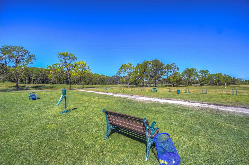 3439 Teeside Drive New Port Richey, FL 34655 - Photo 77 of 85 a view of swimming pool with a yard