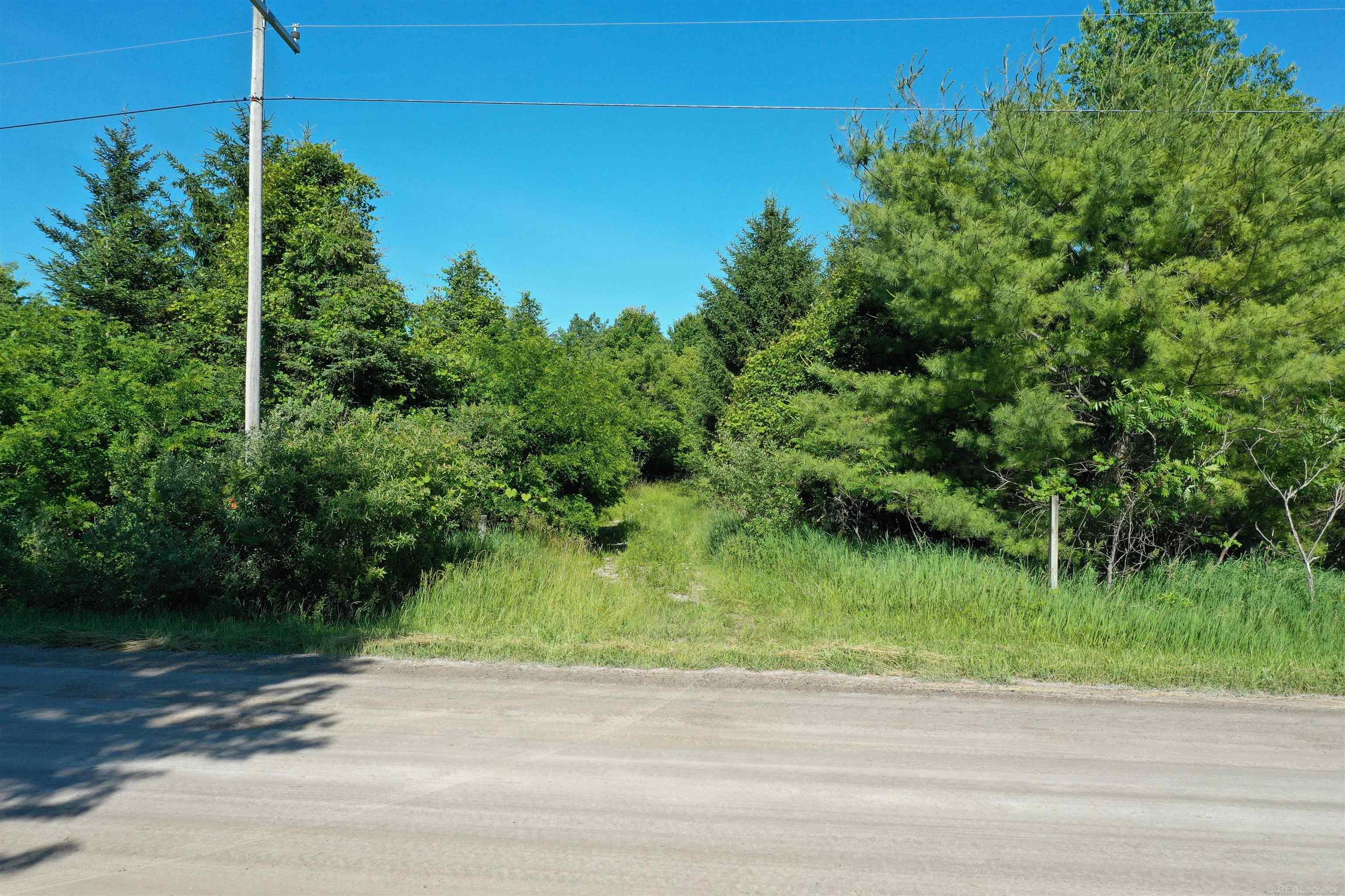 1-vl Babcock Road Jeddo, MI 48032 - Photo 1 of 11