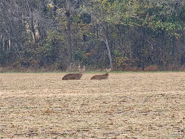 $650,000 | 346 Gouldman Road, Montgomery City, MO 63361