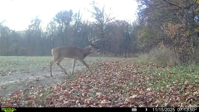 $650,000 | 346 Gouldman Road, Montgomery City, MO 63361