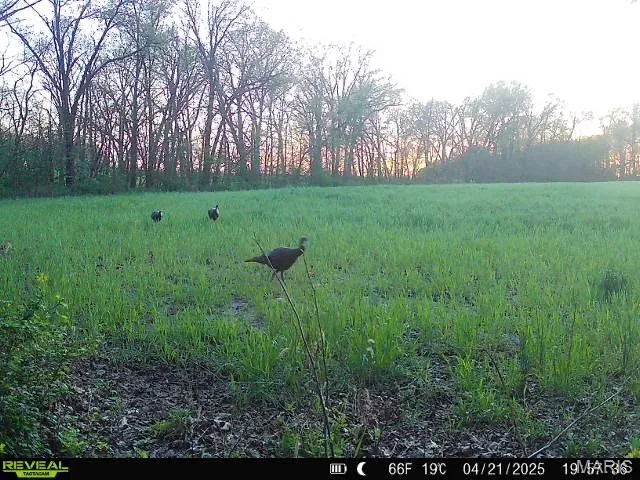 $650,000 | 346 Gouldman Road, Montgomery City, MO 63361