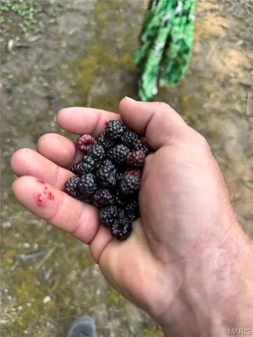 $650,000 | 346 Gouldman Road, Montgomery City, MO 63361