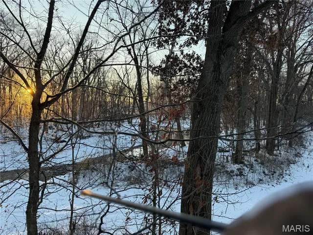 $650,000 | 346 Gouldman Road, Montgomery City, MO 63361