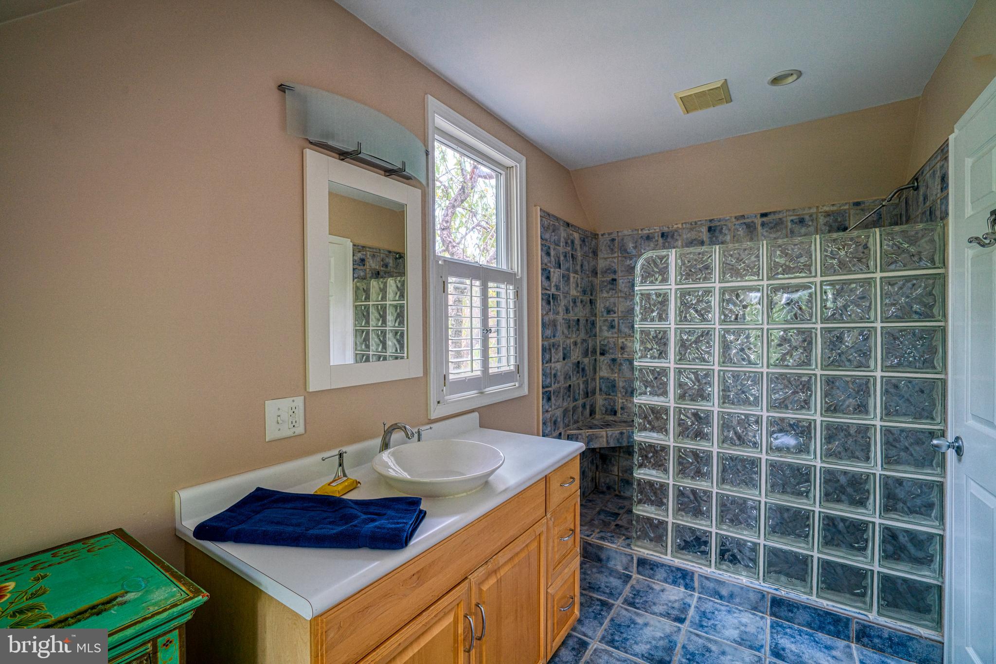 7915 Radcliffe Road Chestertown, MD 21620 - Photo 23 of 36 Fifth Bedroom Bath with Walk in Shower