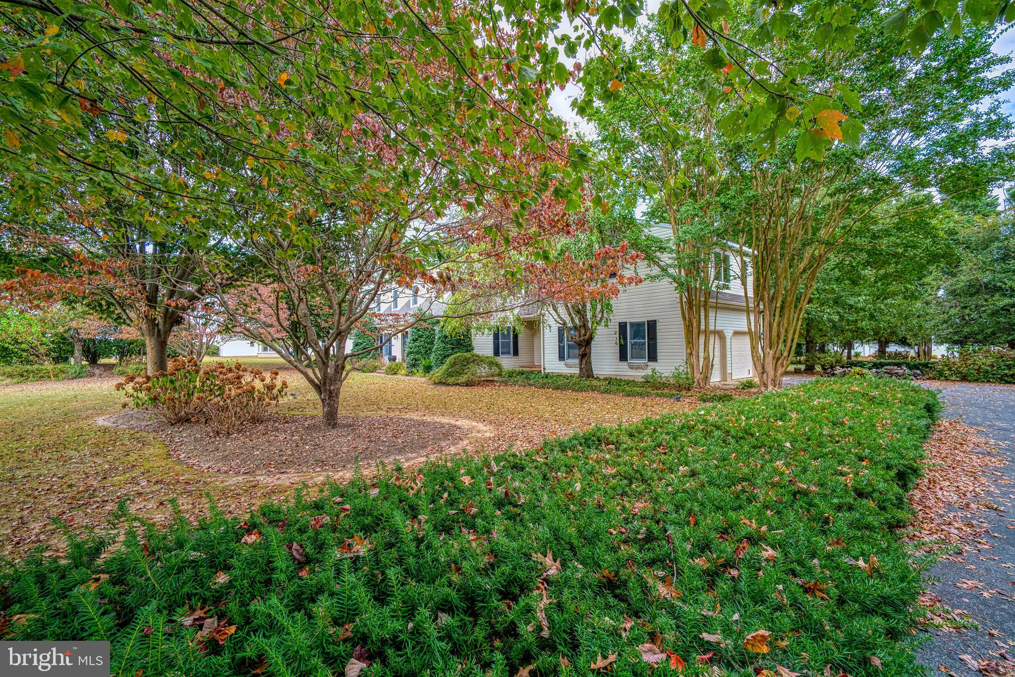 Mature Landscaping and Drive to Attached Garages