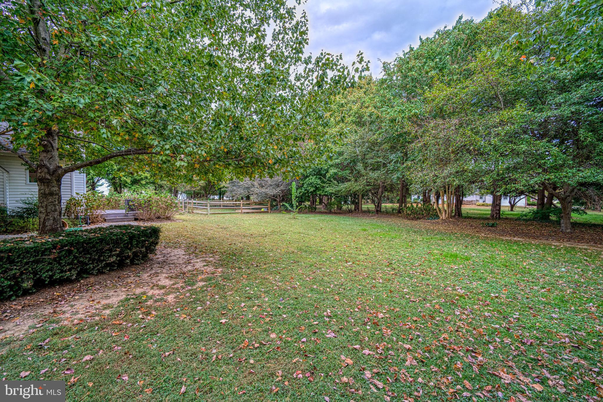 7915 Radcliffe Road Chestertown, MD 21620 - Photo 36 of 36 Tree-scaped lot with small fenced dog yard