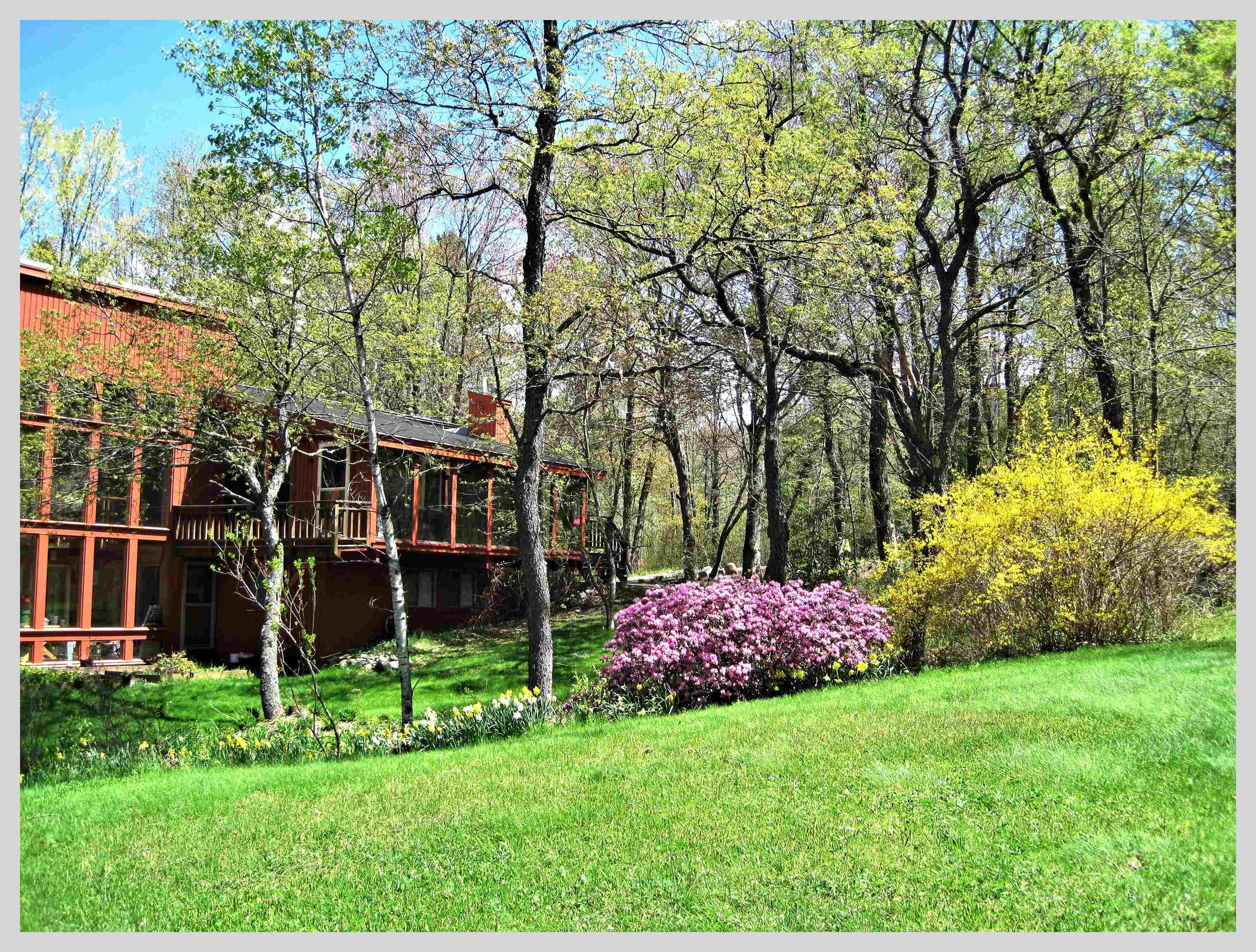 206 River Road Rumney, NH 03266 - Photo 44 of 60