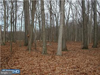 2235 Hopewell Road Nottingham, PA 19362 - Photo 12 of 12 View