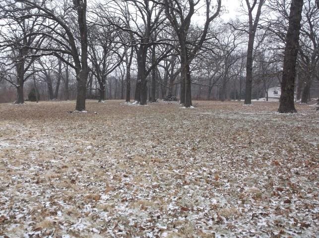 14801 Ufkin Road Fulton, IL 61252 - Photo 11 of 11