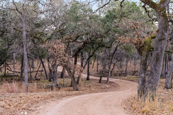 a view of outdoor space with trees