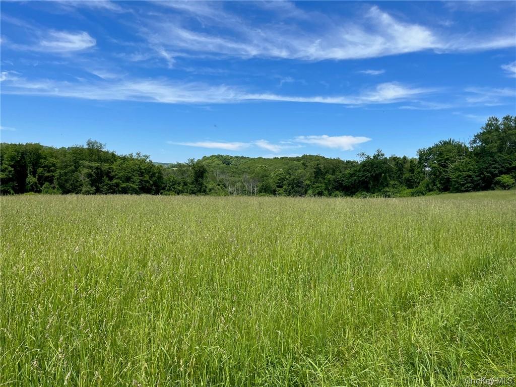Perrys Corners Road Amenia, NY 12501 - Photo 6 of 14 View of nature