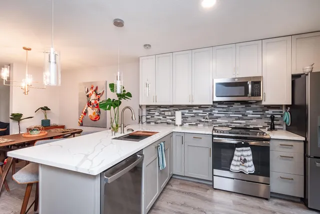 a kitchen with a potted plant on the counter and a glass door