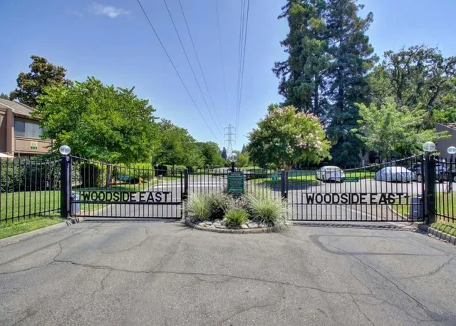 a view of a garden with plants and a bench